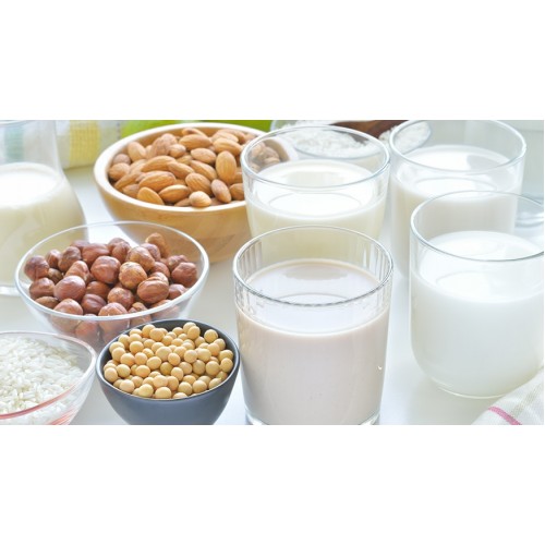 Производство растительных заменителей молока